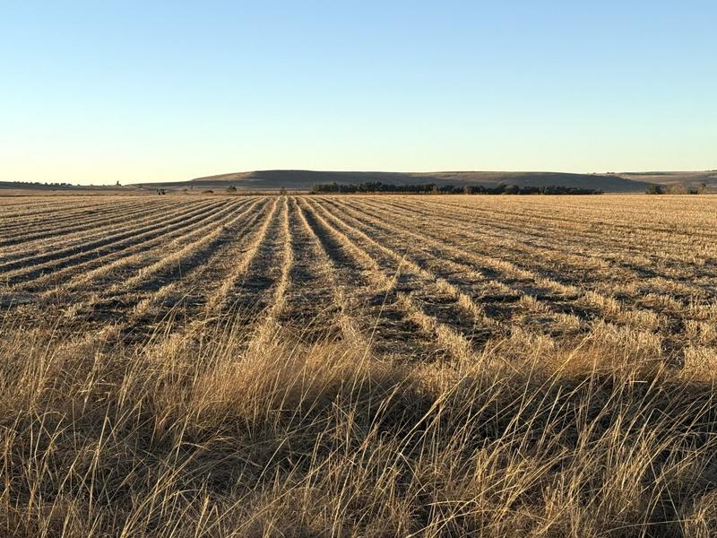 0 Bedroom Property for Sale in Warden Free State